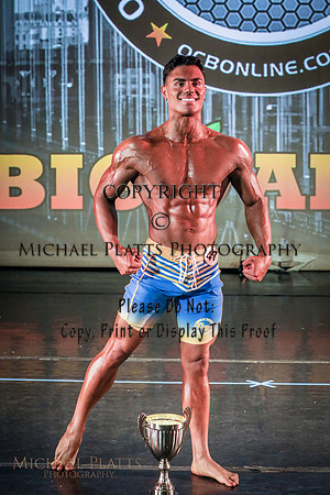 2025 BA-8619