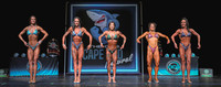 2025 Cape wide-0825