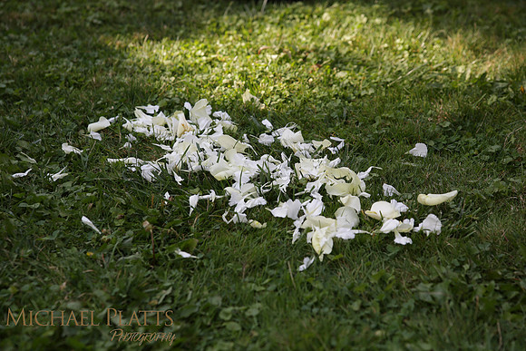 Lindsay & Tom-465