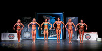2024 Cape FL-3935
