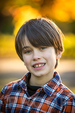 Wilcox family proofs-5502