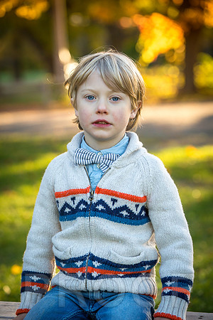 Wilcox family proofs-5543