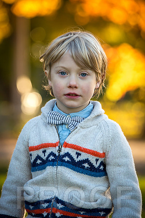 Wilcox family proofs-5550