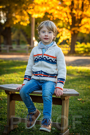 Wilcox family proofs-5551