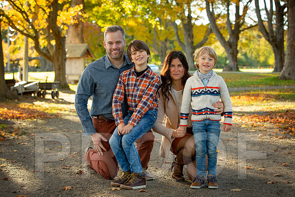 Wilcox family proofs-5320
