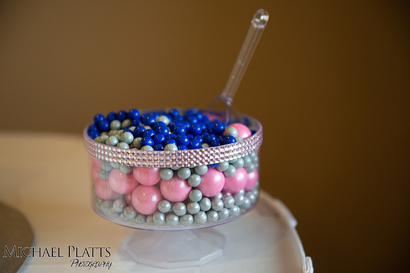 Presley & Dylan shower-9650