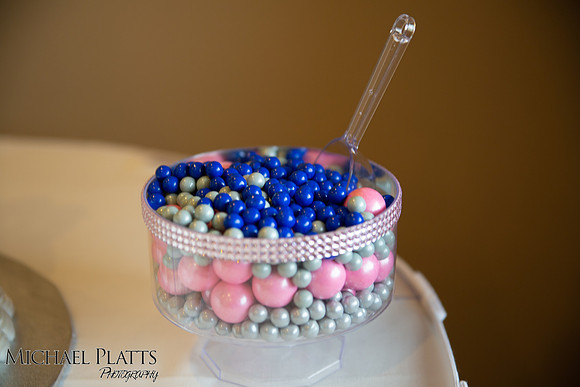 Presley & Dylan shower-9651