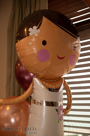 Presley & Dylan shower-9671