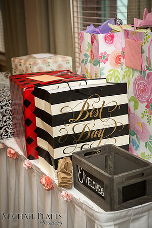 Presley & Dylan shower-9676