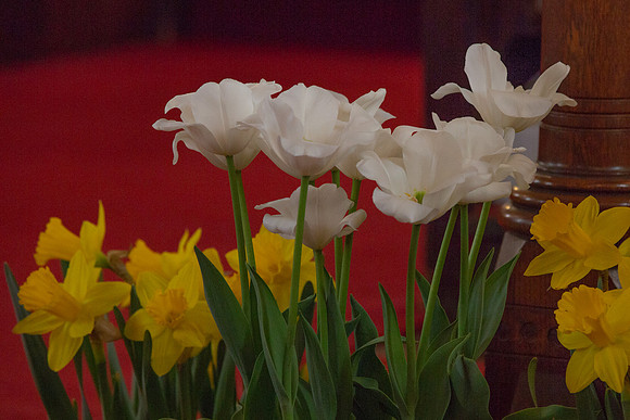 SJ-Easter 2019-9945