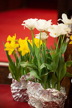 SJ-Easter 2019-9958